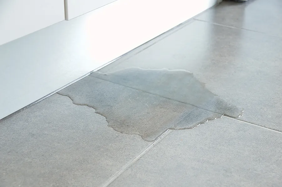 water pooling on the floor